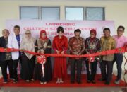 Tidak Perlu ke Jakarta, Layanan Stem Cell Kini Hadir di RS Unhas