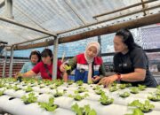 Pertamina Patra Niaga IT Bitung Dukung Pemberdayaan Ibu Rumah Tangga Melalui Hidroponik