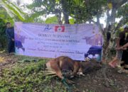 Dari Rantau untuk Kampung Halaman, KM Bulukumba Tebar Manfaat Iduladha