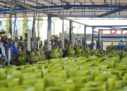 Pertamina Patra Niaga Regional Sulawesi Perkuat Pasokan LPG 3 Kg di Sejumlah Wilayah Sulselbar yang Terdampak Kemarau